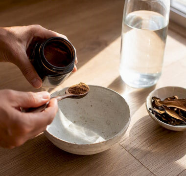 Hænder der vejer reishi-svampepulver op