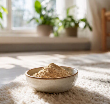 Ashwagandha-pulver og kapsler på bordet
