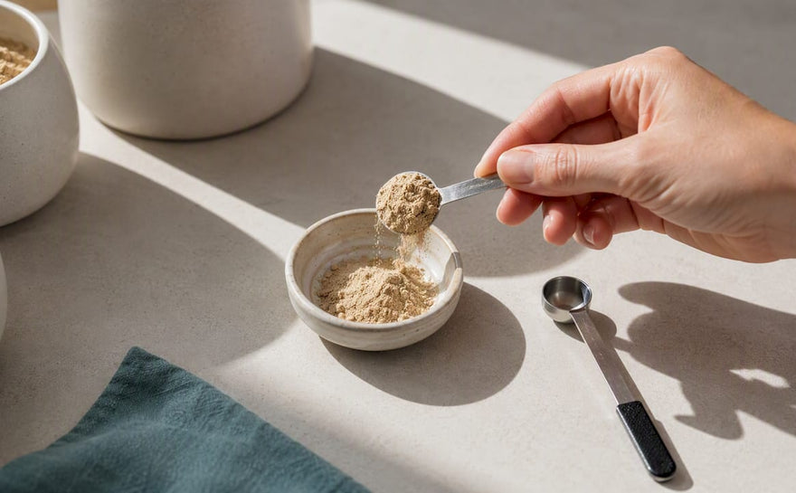 Ashwagandha-pulver gøres klar til dosering