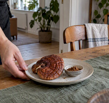 Tørret reishi-svamp ved siden af rent ekstrakt