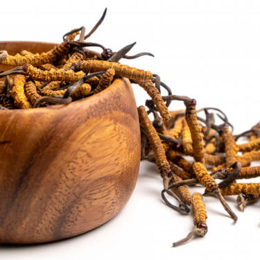 Cordycept Medicinske svampe, Veganske 60 kapsler