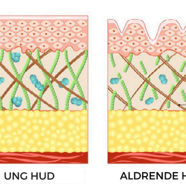 Collagen, Marine Type1 + Hyaluronsyre + Vitamin-C. 120 kapsler