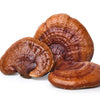 Reishi. Vegansk, 60 kapslar