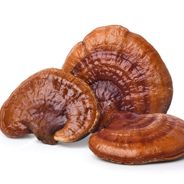 Reishi. Veganske, 60 kapsler