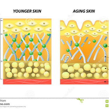 Kollagen, marin typ 1 med blåbärssmak. 200 gr.